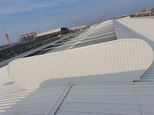 mmexport1657759701398.jpg