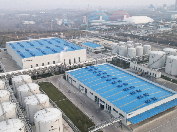 新型通风天窗助力现代建筑高效排烟