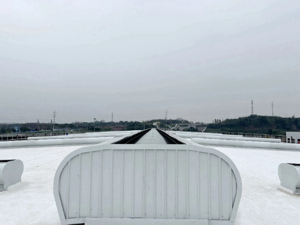 新图 (12).jpg